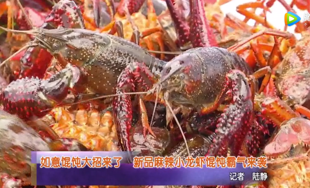 蘇州電視臺(tái)報(bào)道：如意餛飩大招來(lái)了！新品麻辣小龍蝦餛飩霸氣來(lái)襲