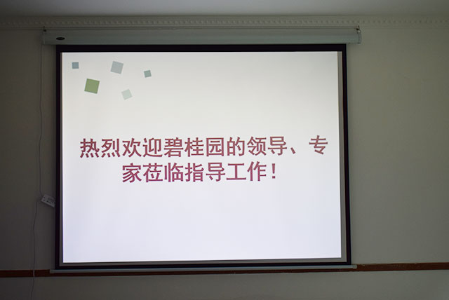 碧桂園領(lǐng)導(dǎo)、專家蒞臨德國CUALI磚麗指導(dǎo)工作